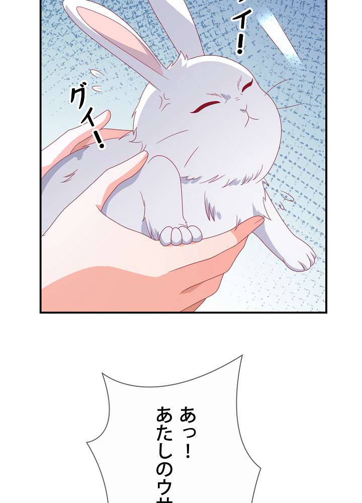 P53