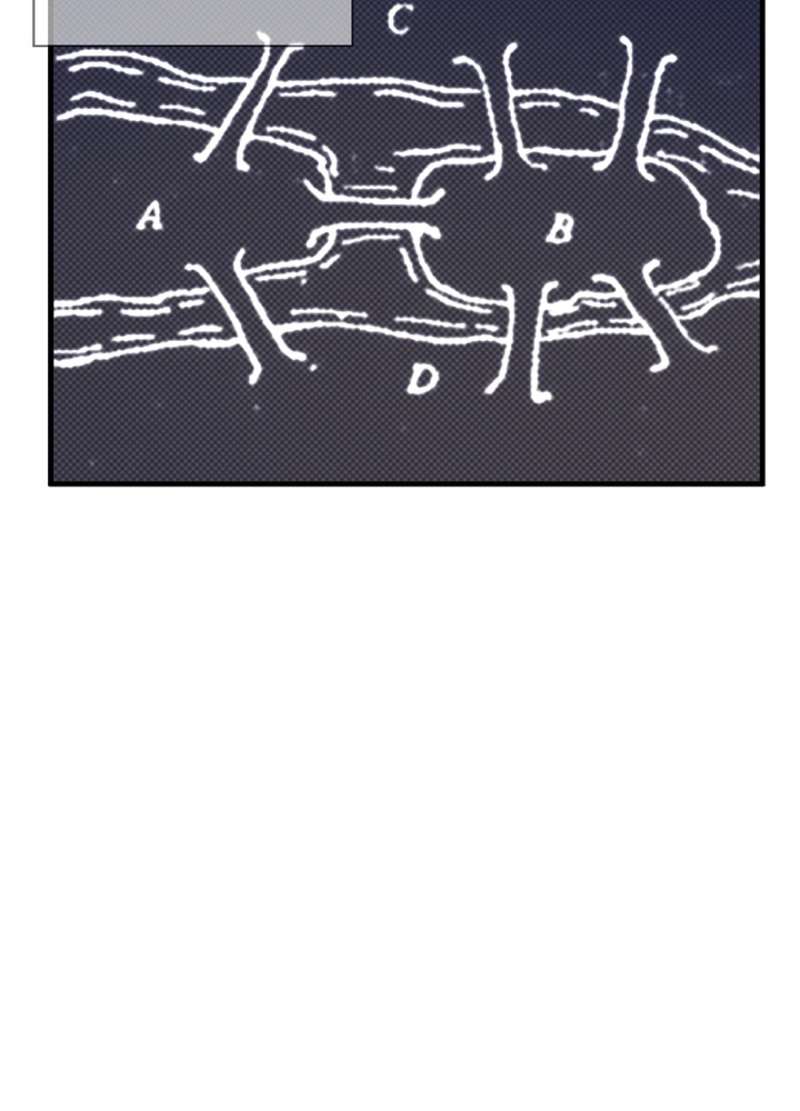 P44