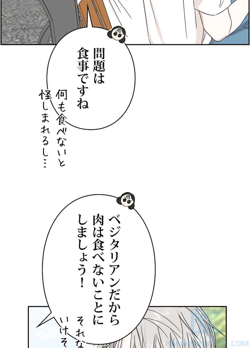 P61
