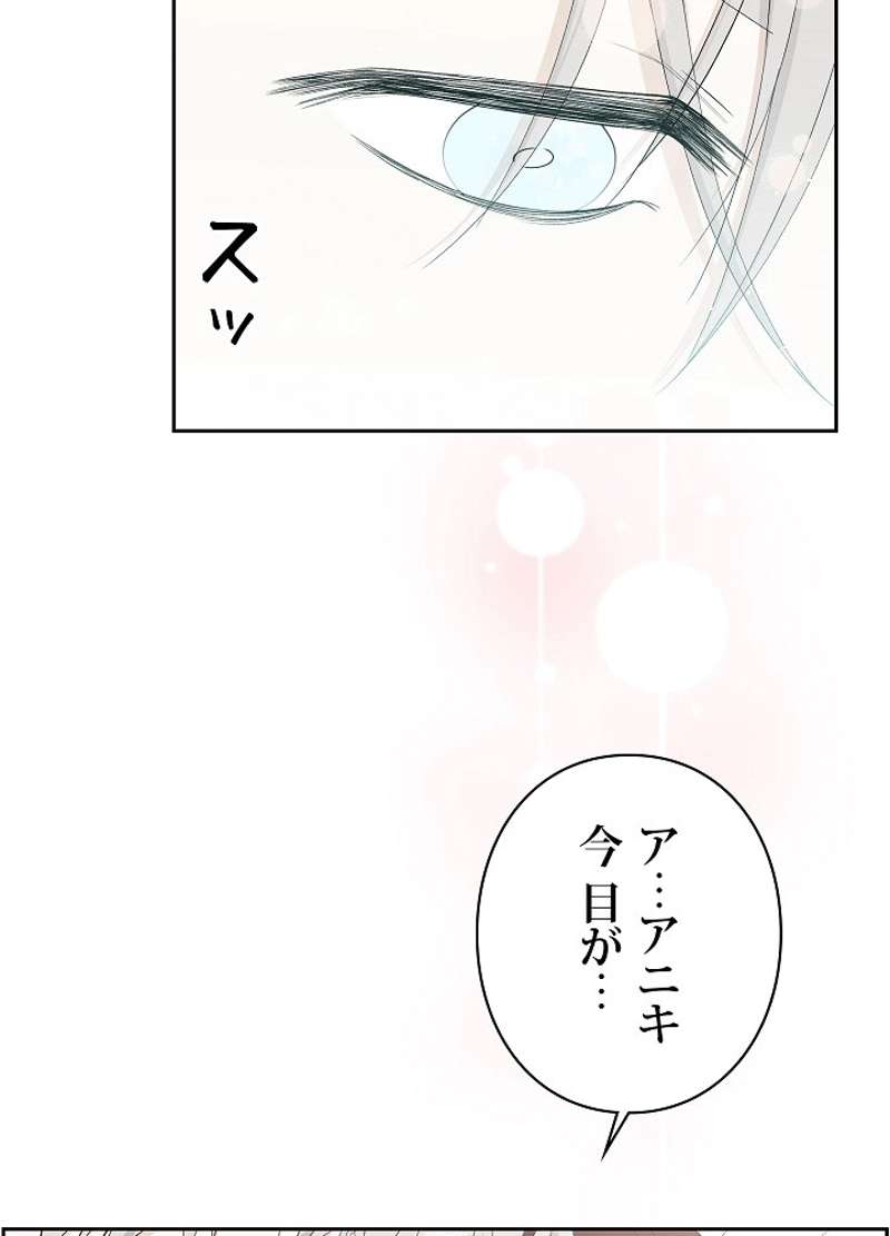 P65