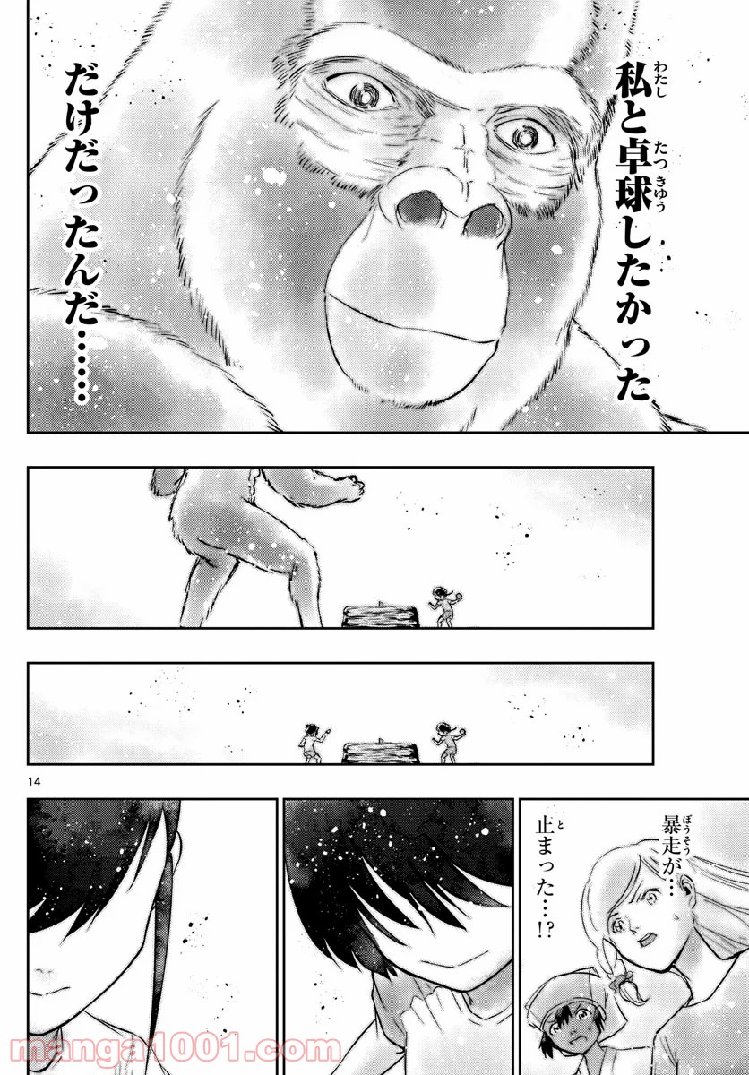 P14