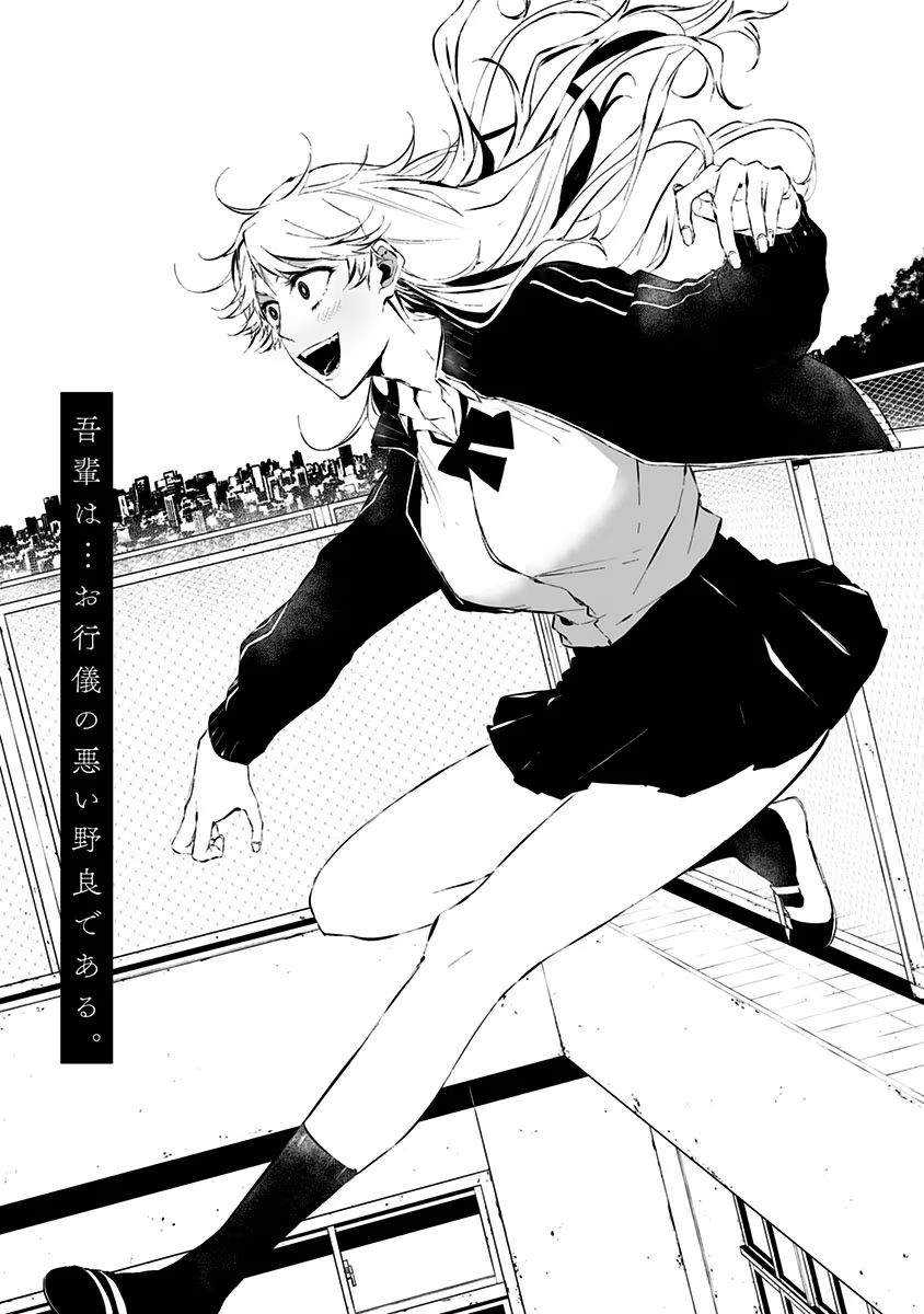 P43
