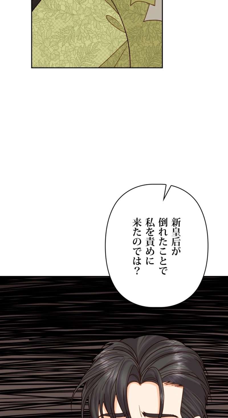 P63