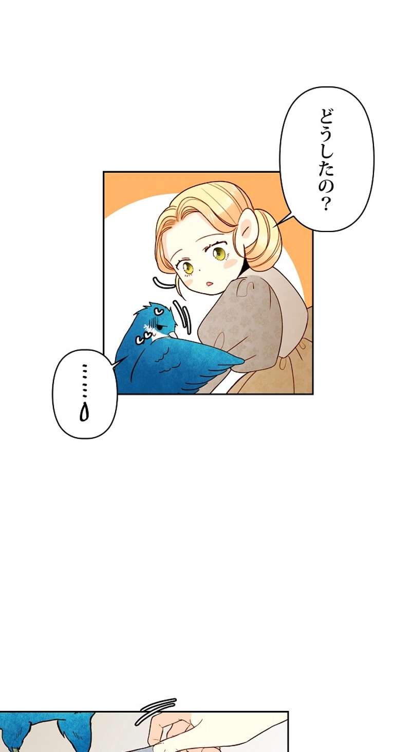 P42