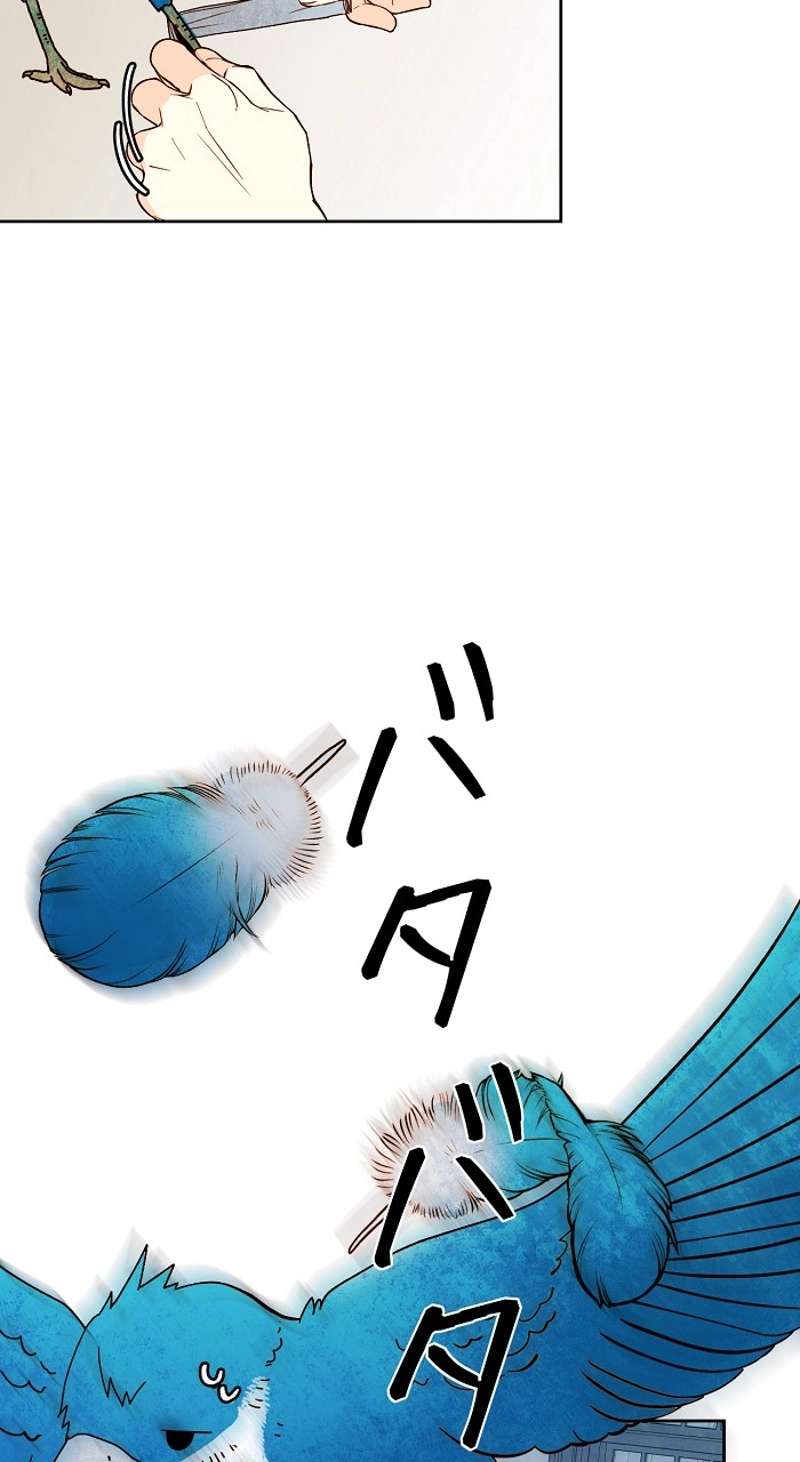 P43