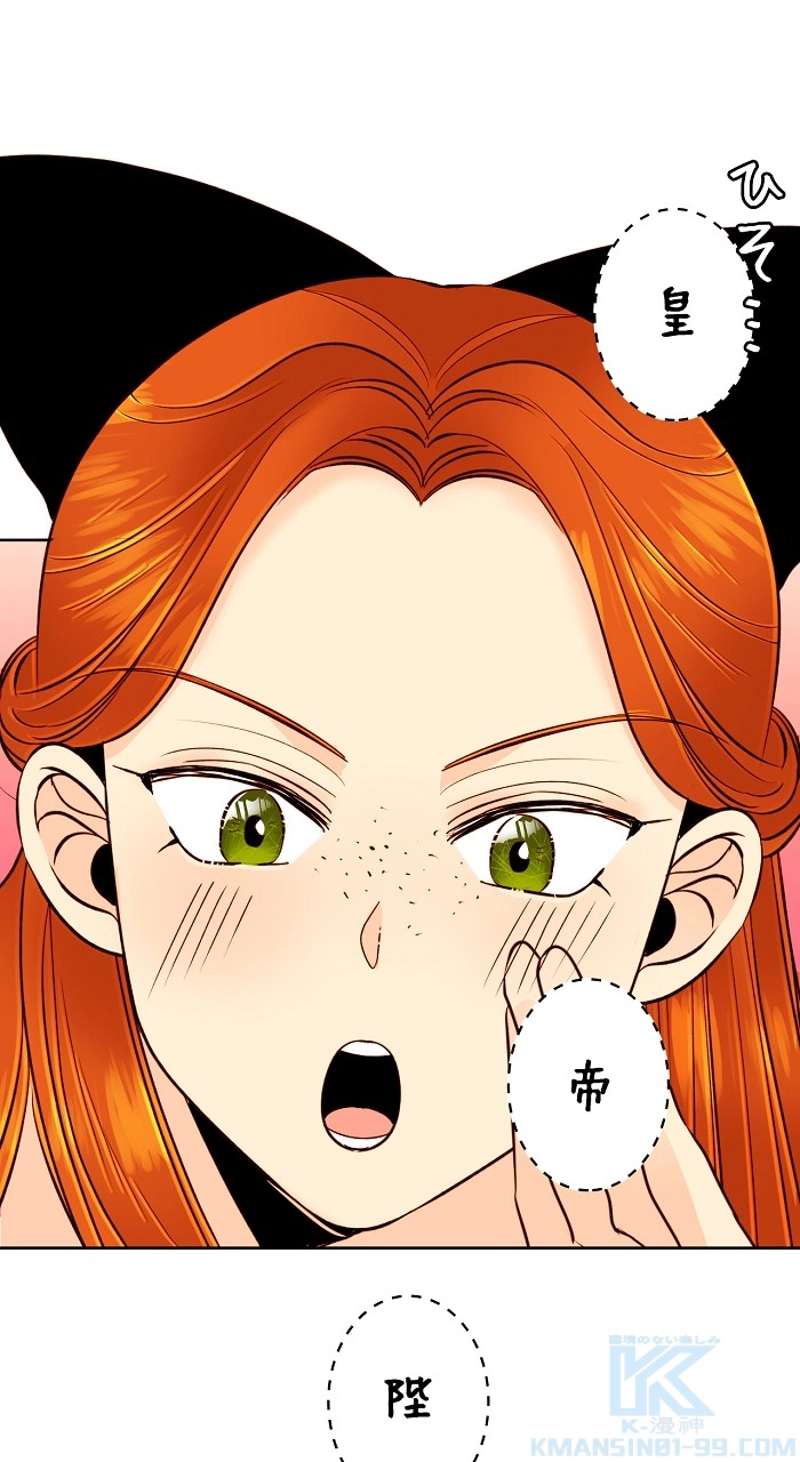 P41