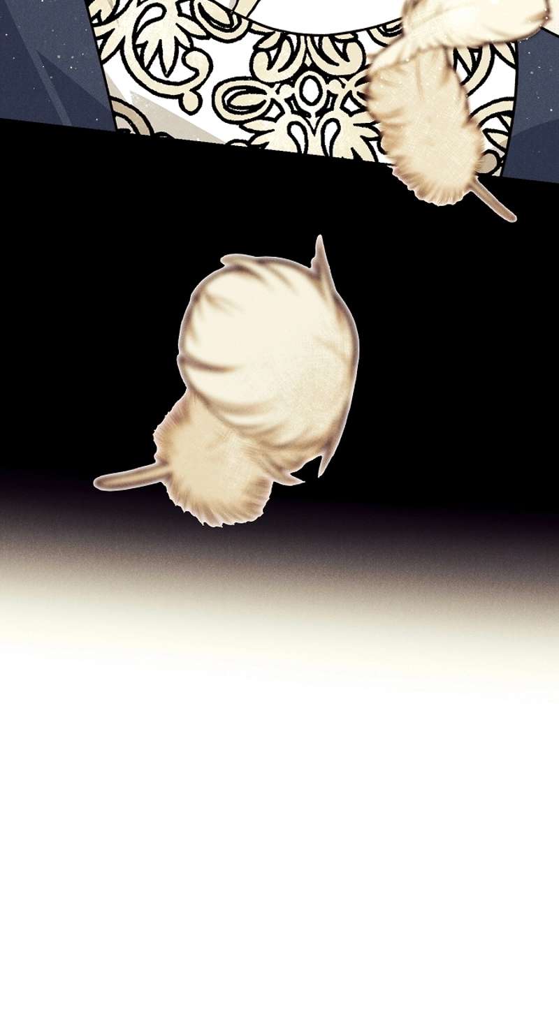 P48