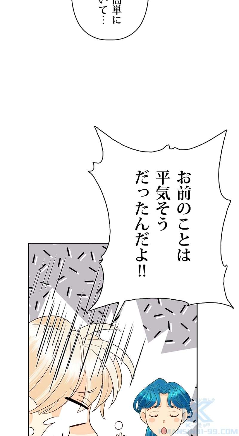 P61