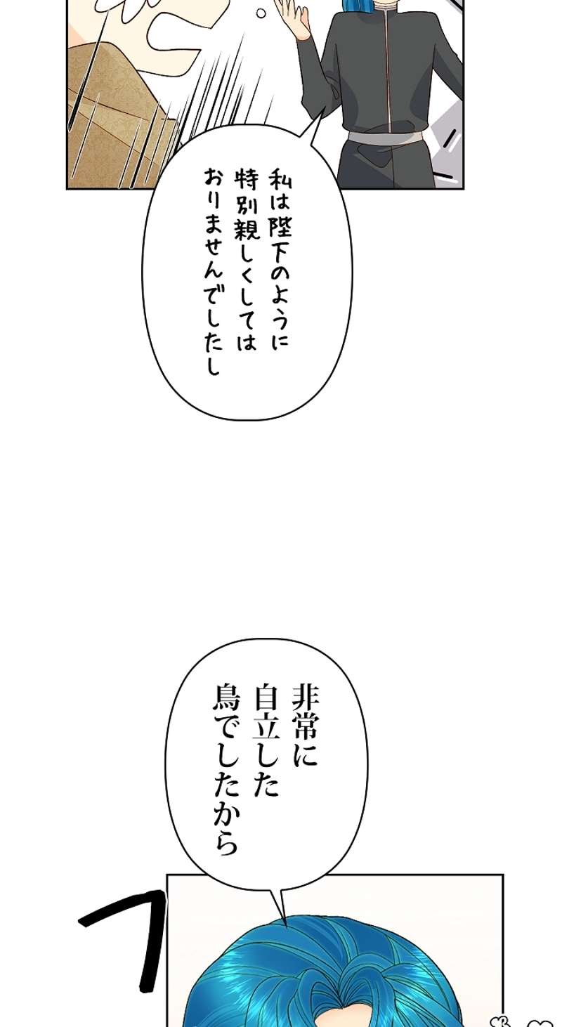 P62