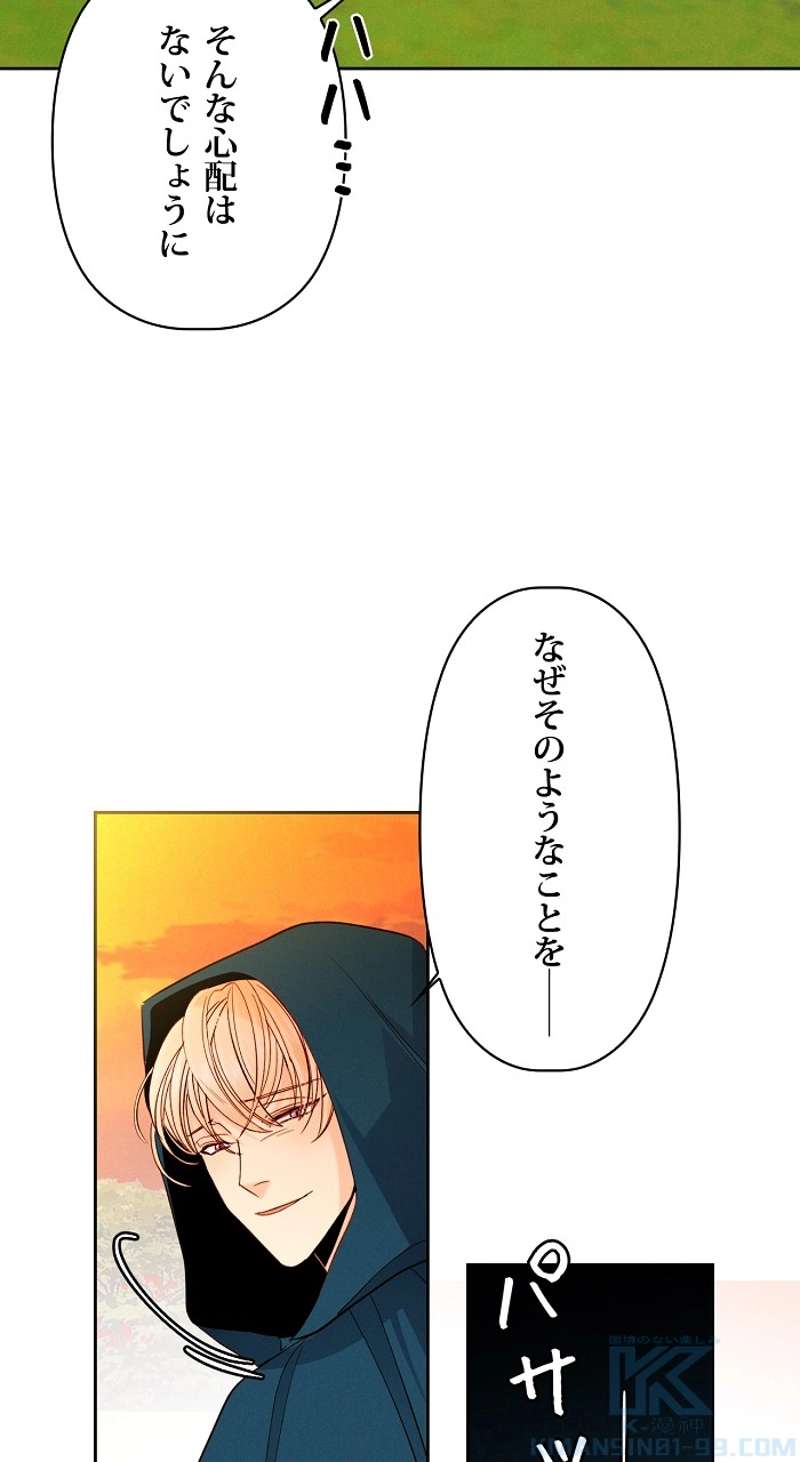 P61