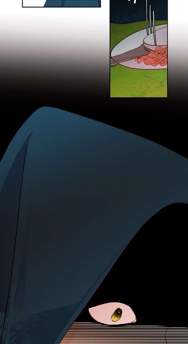 P62