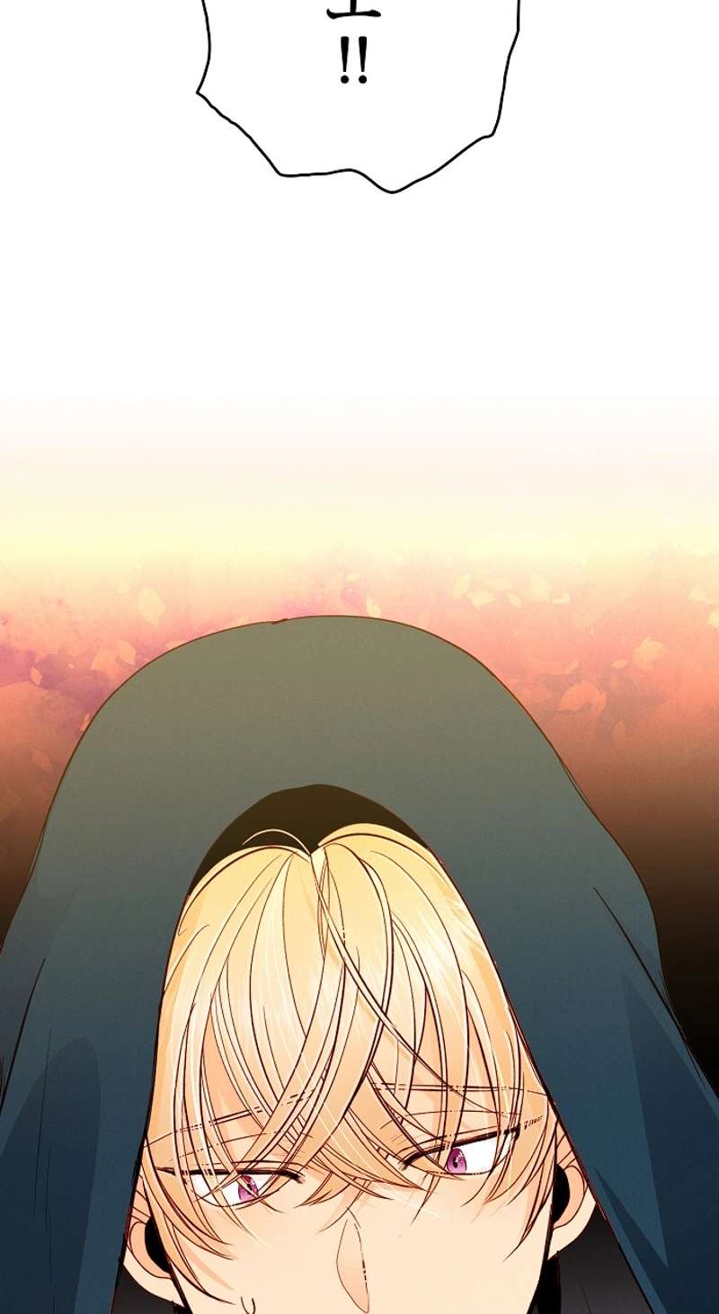P66