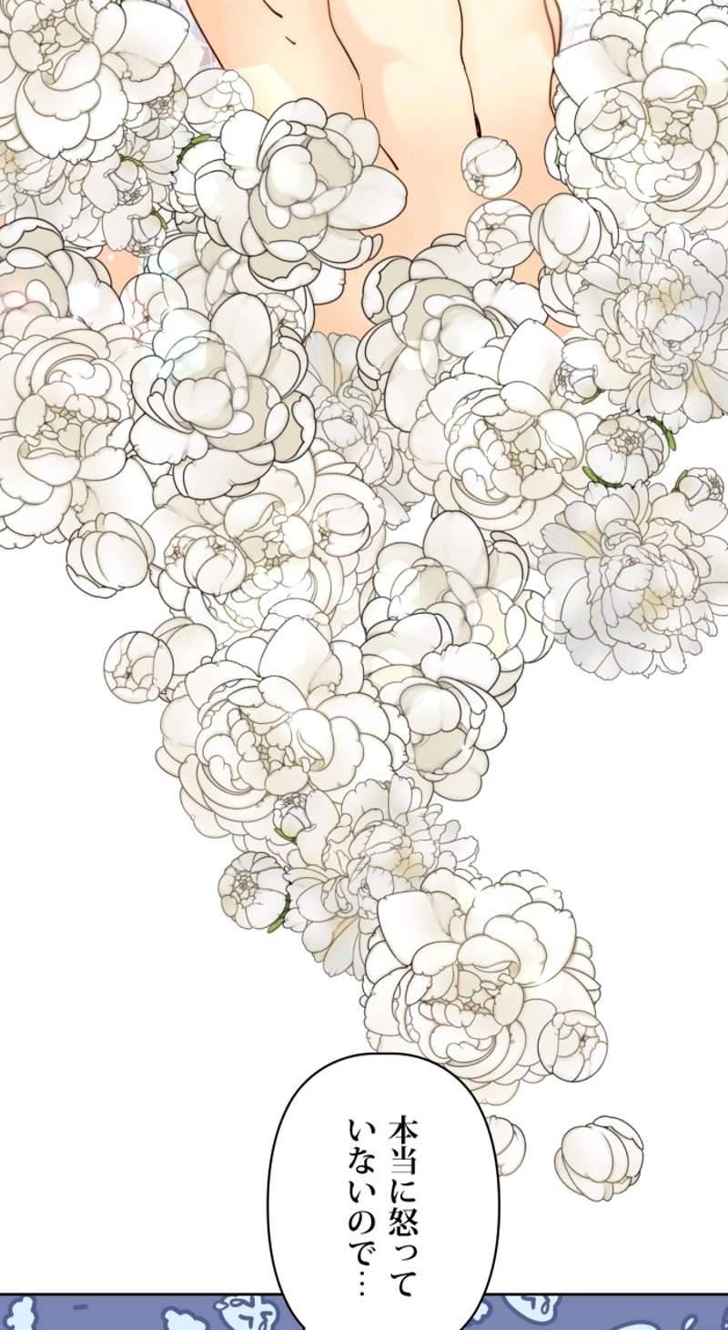 P58