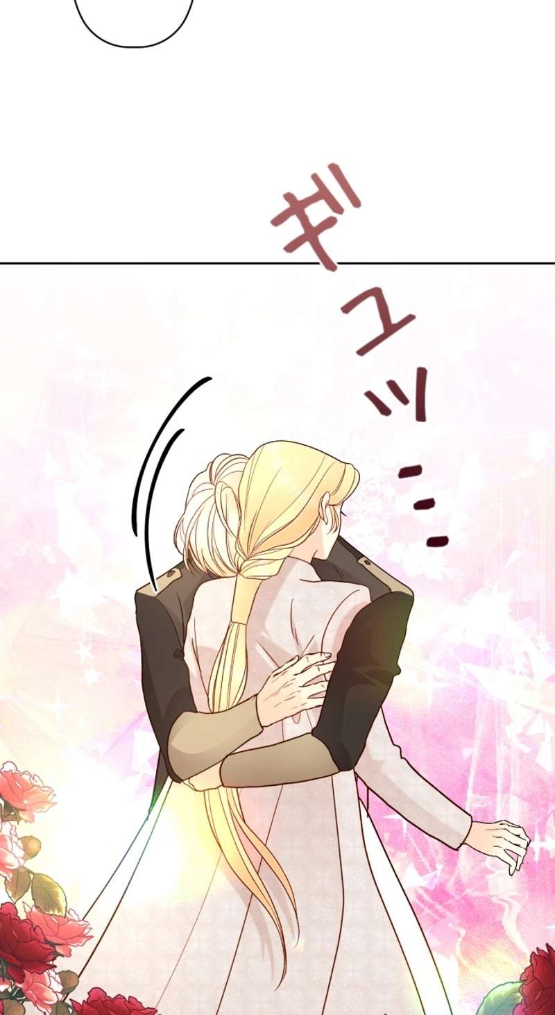 P66