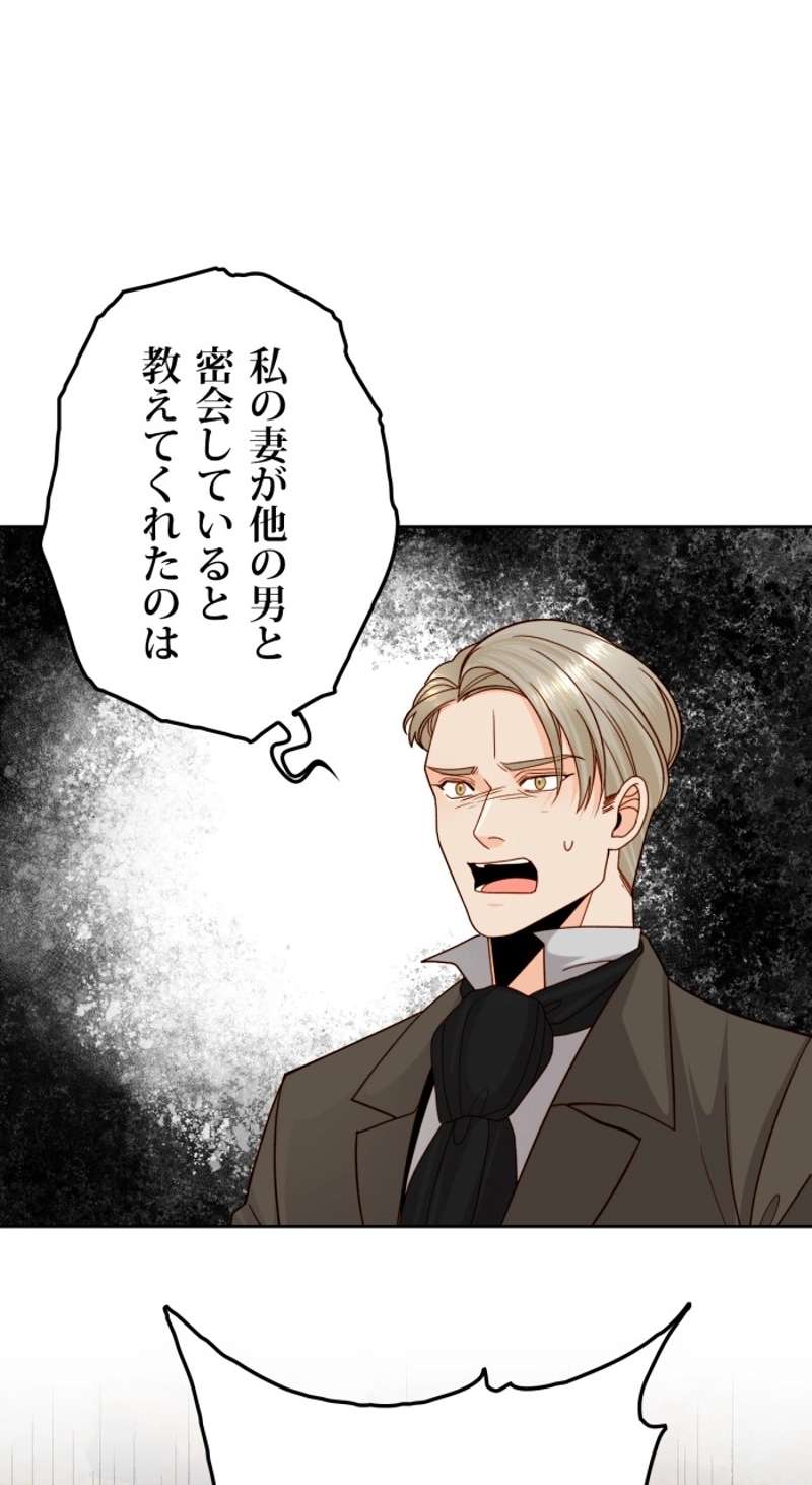 P61
