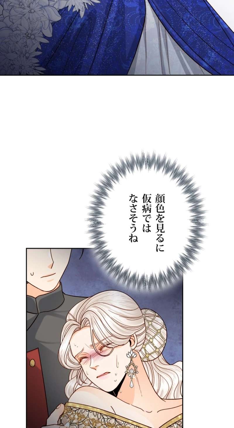 P61