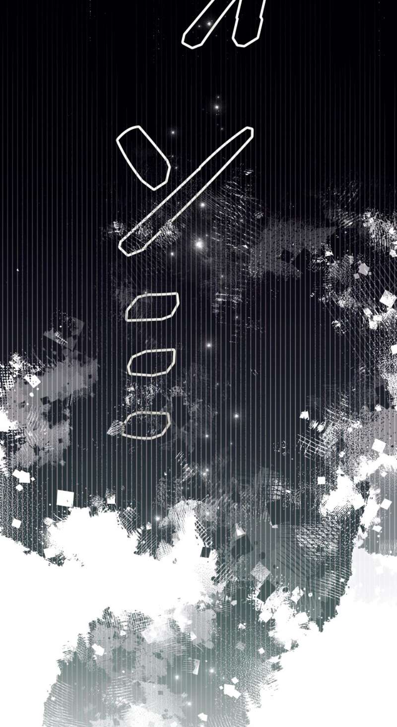P53