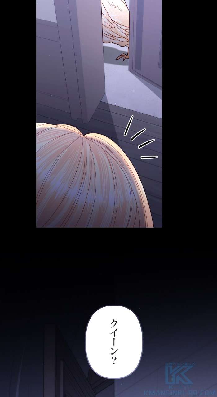 P61