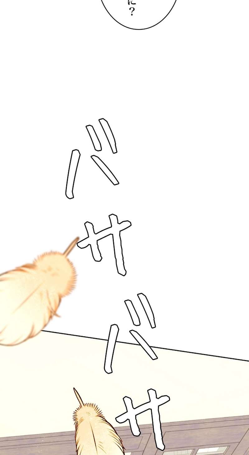 P42