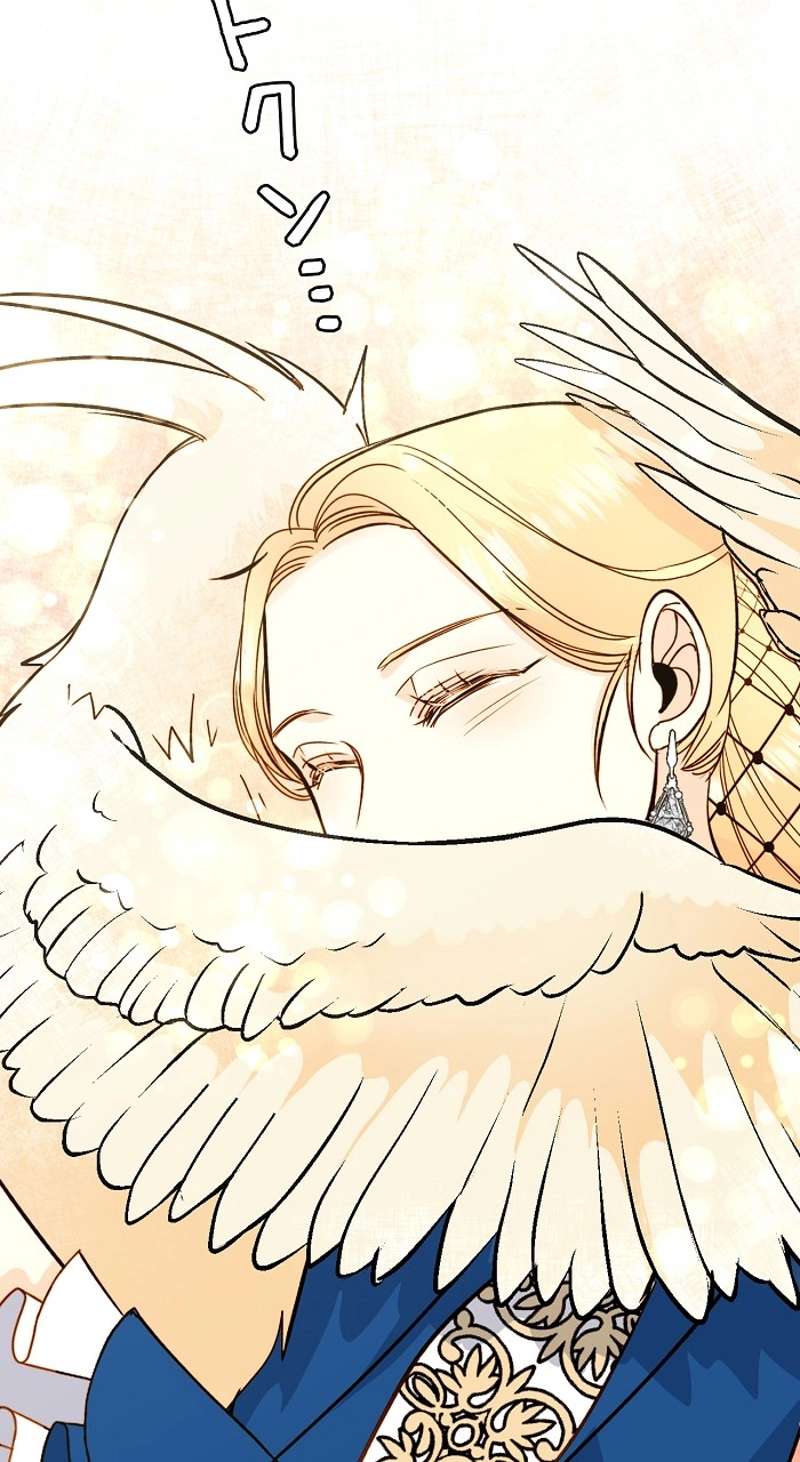 P49