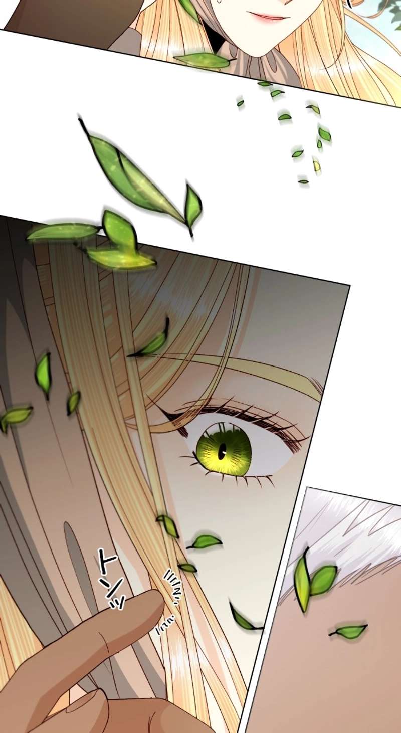 P62