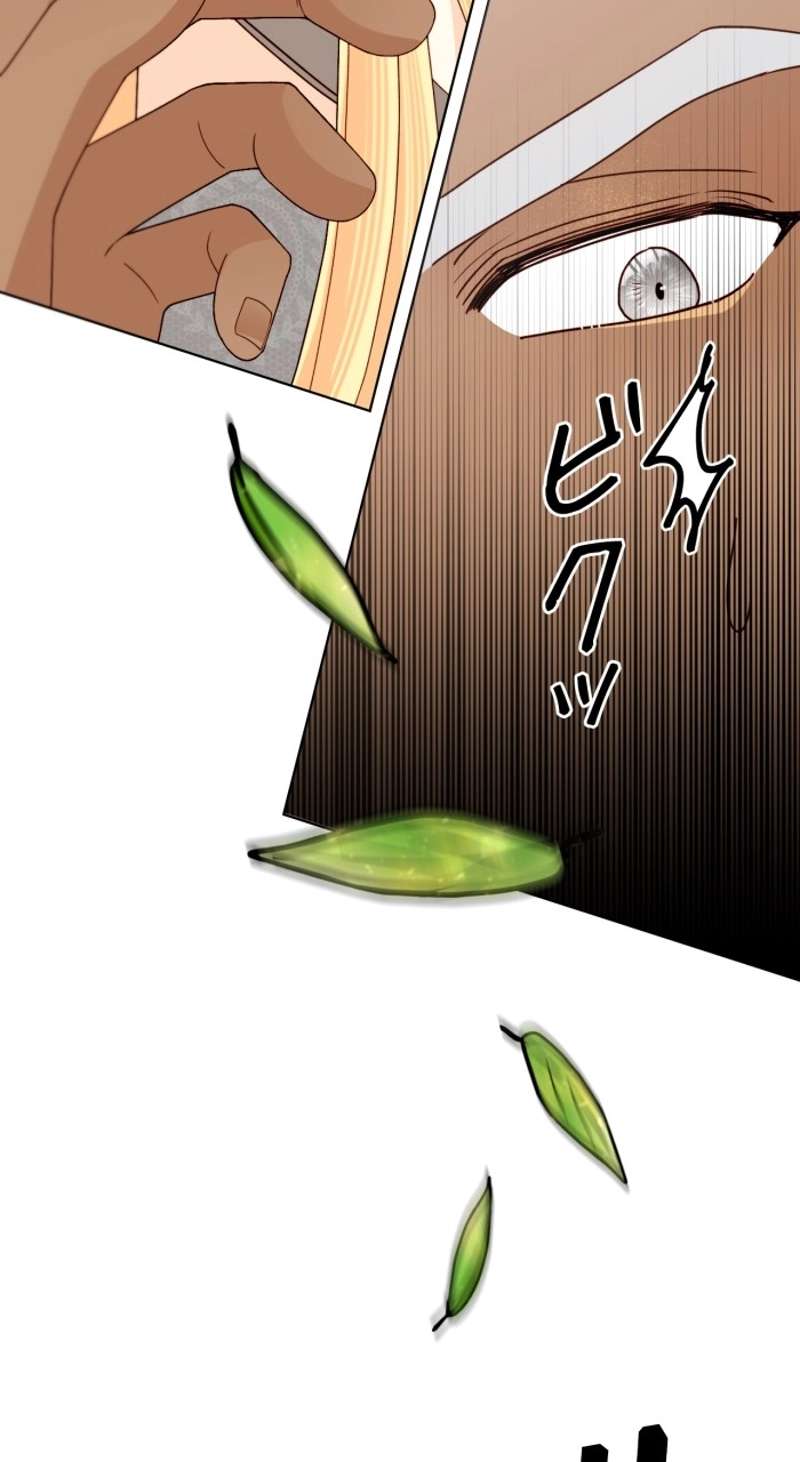 P63