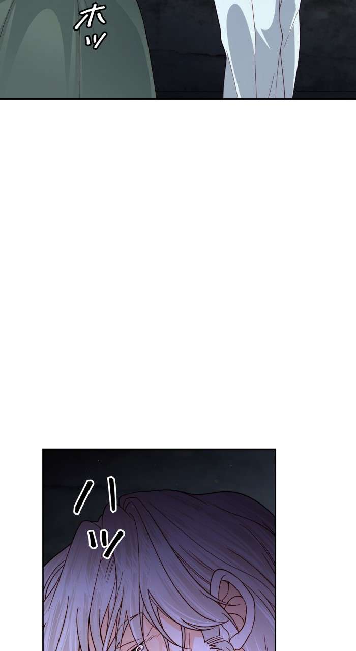 P63