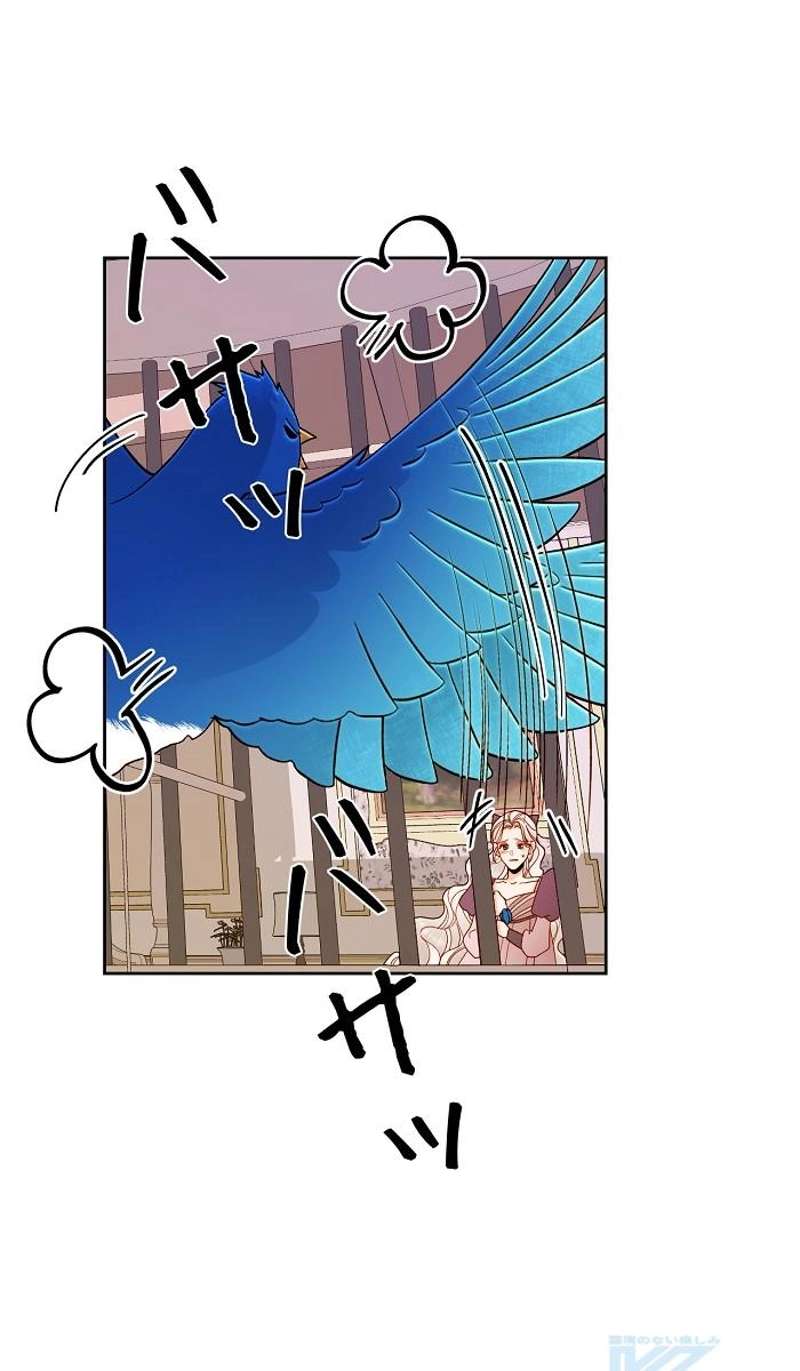 P37