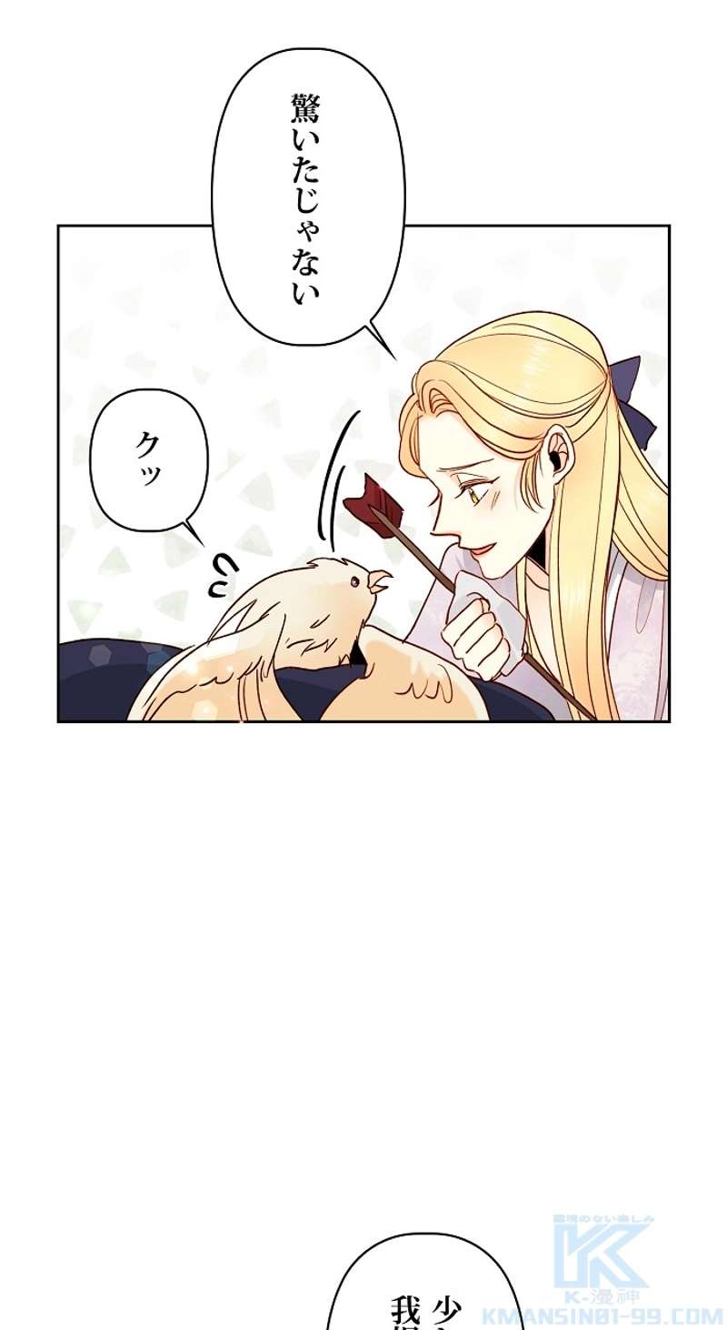 P61