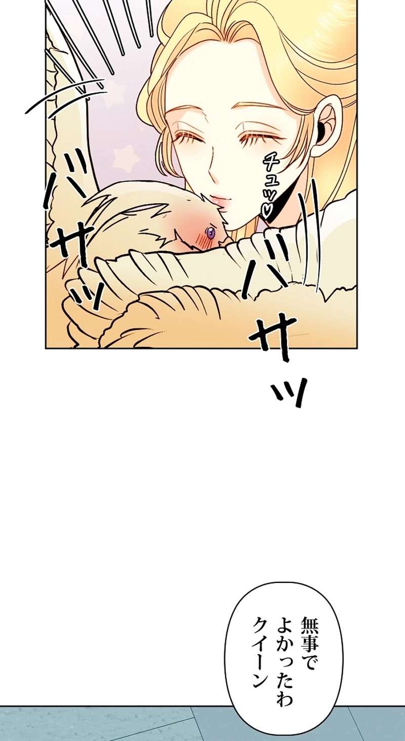 P65