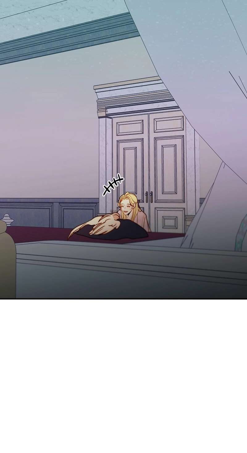 P66