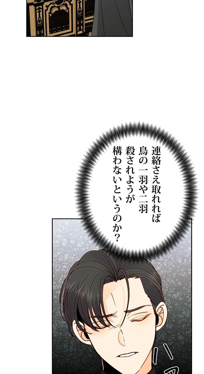 P68