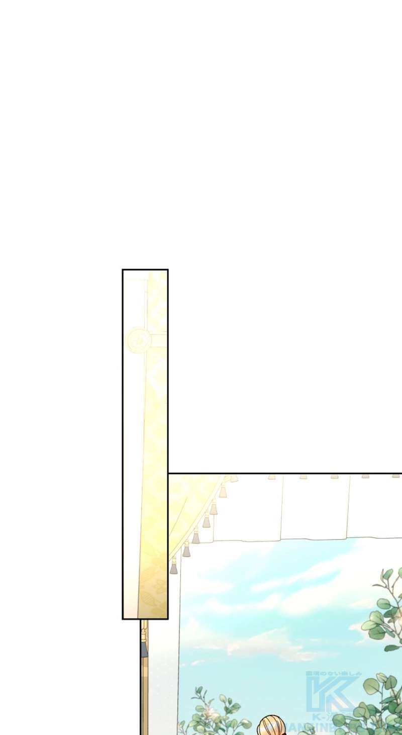 P53
