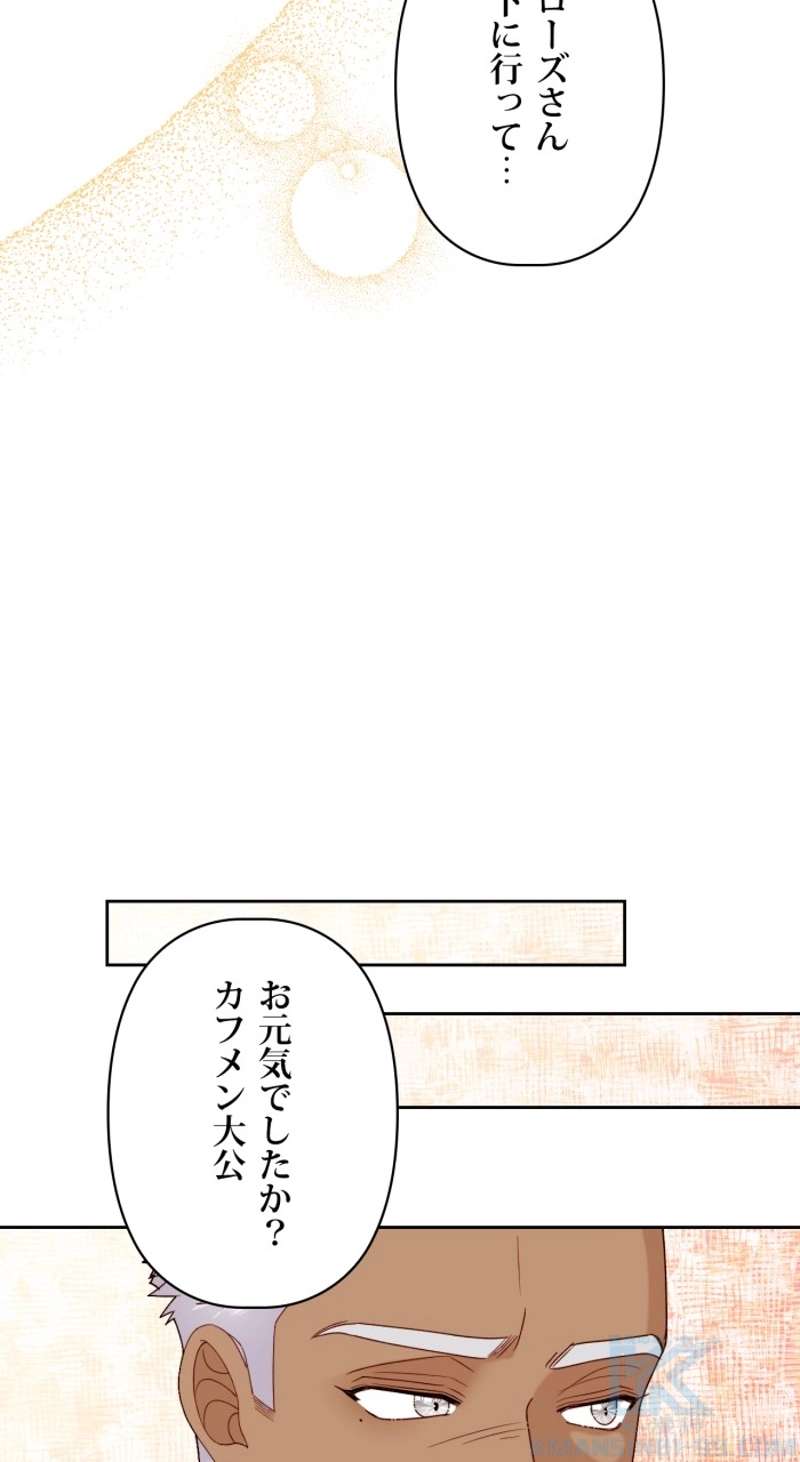 P65