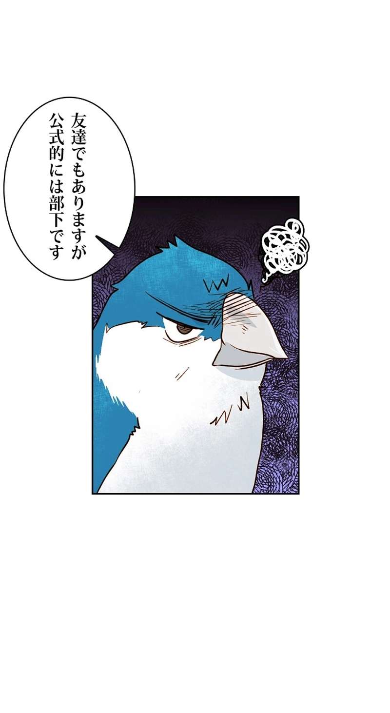 P51