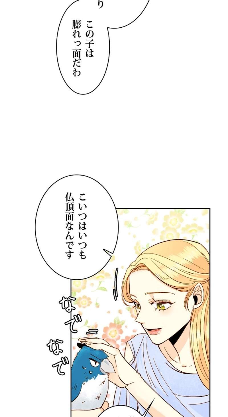 P53
