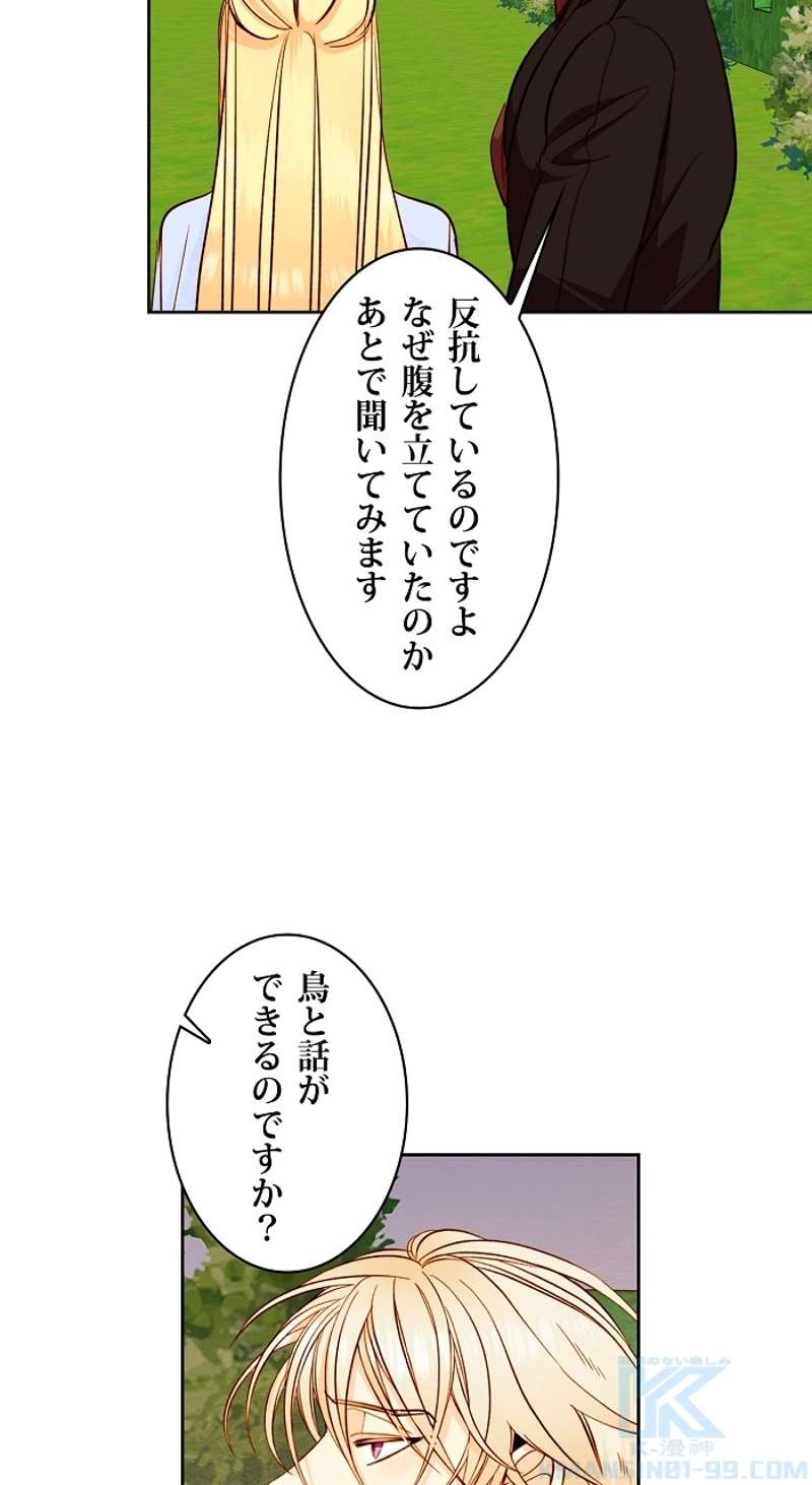 P58