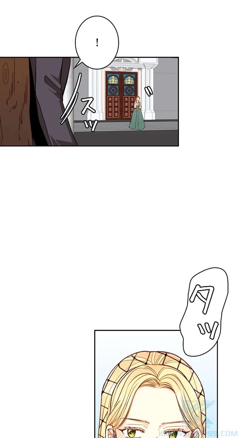 P65