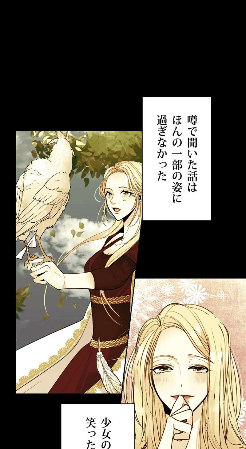 P63