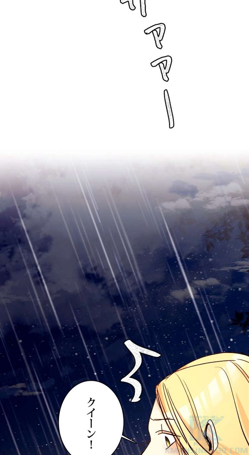 P44