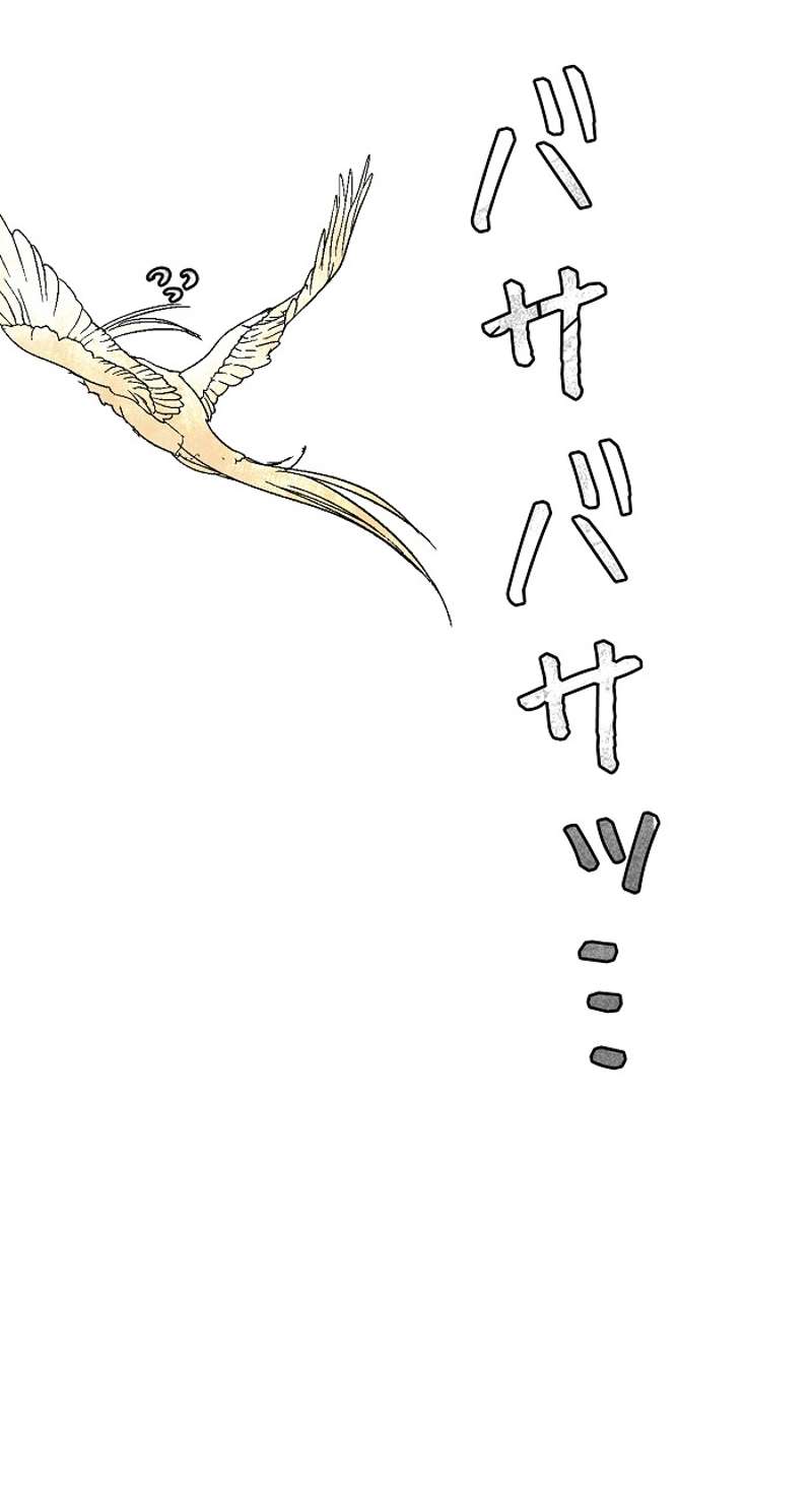 P54