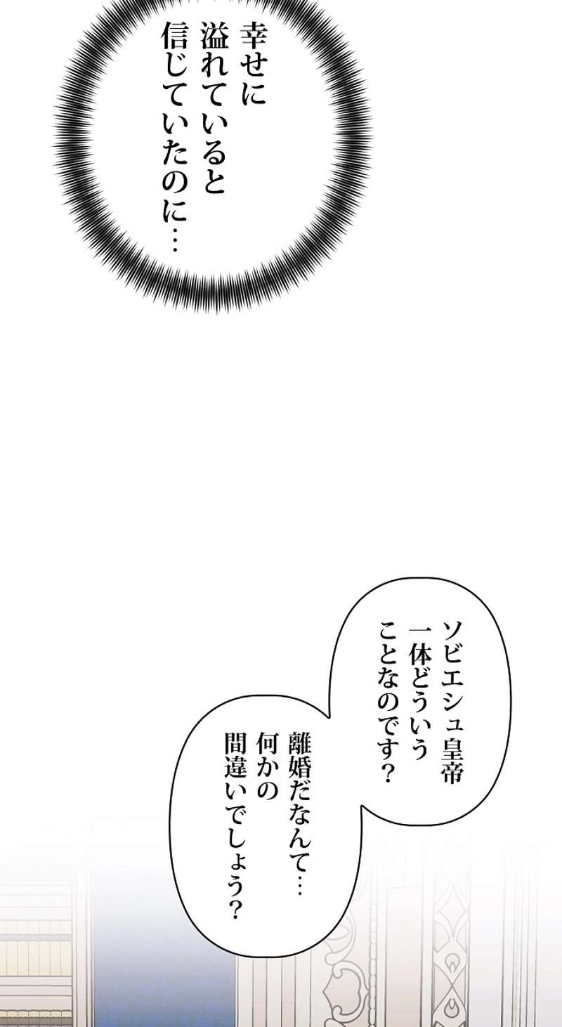 P65