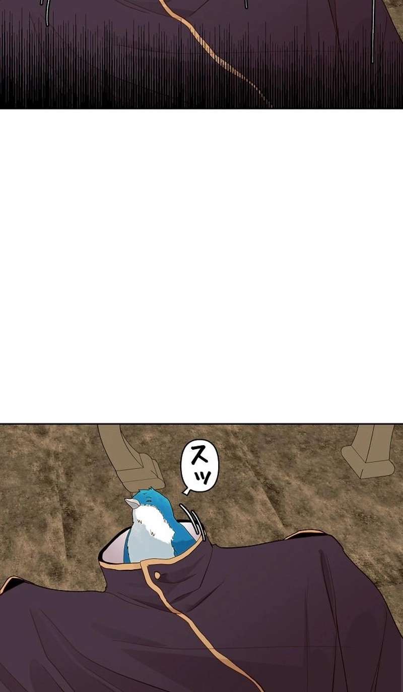 P53