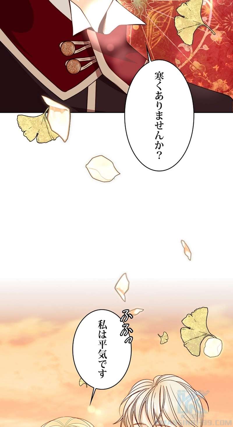 P41