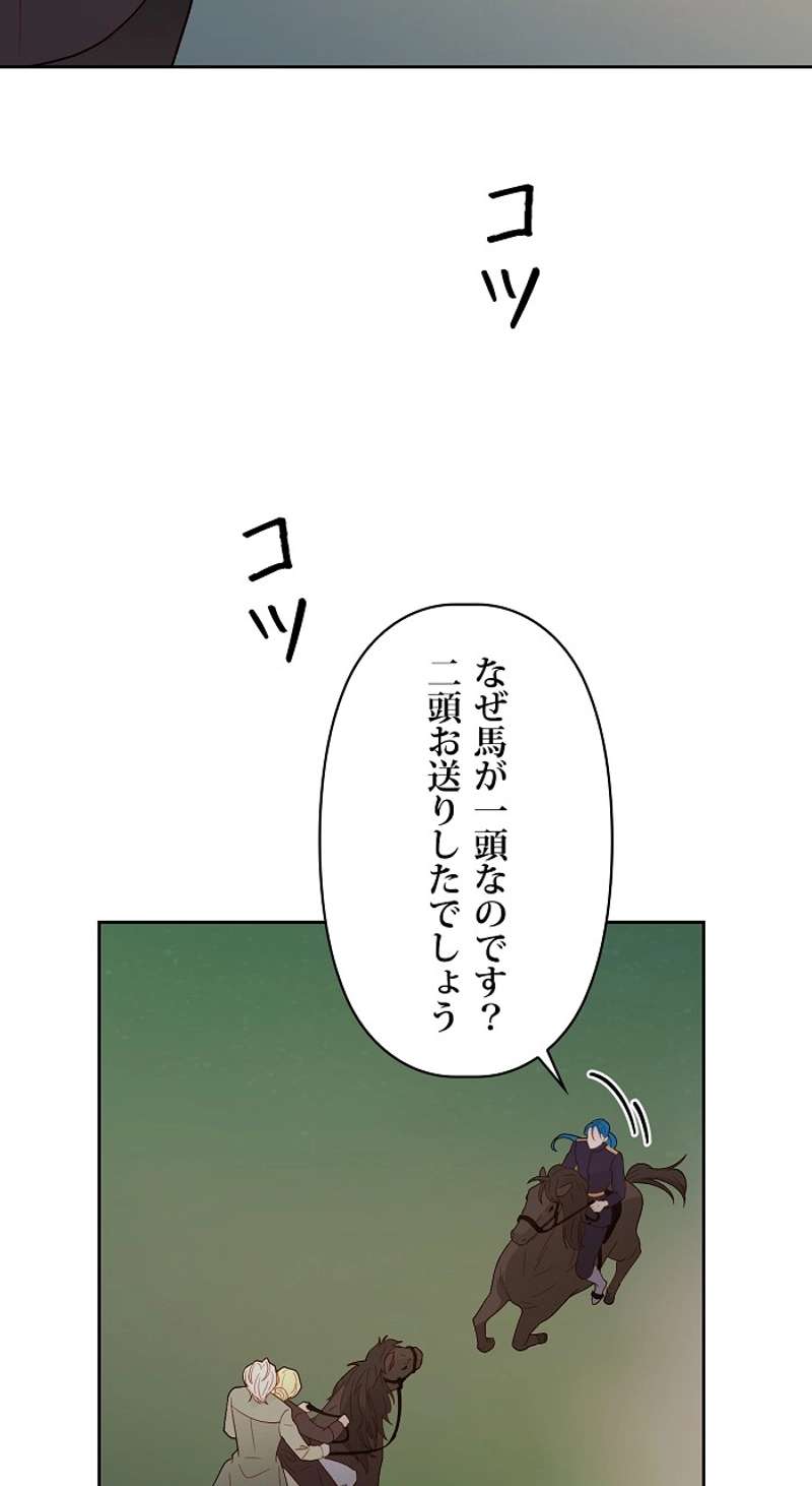 P53