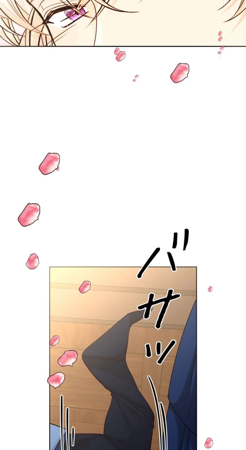 P61