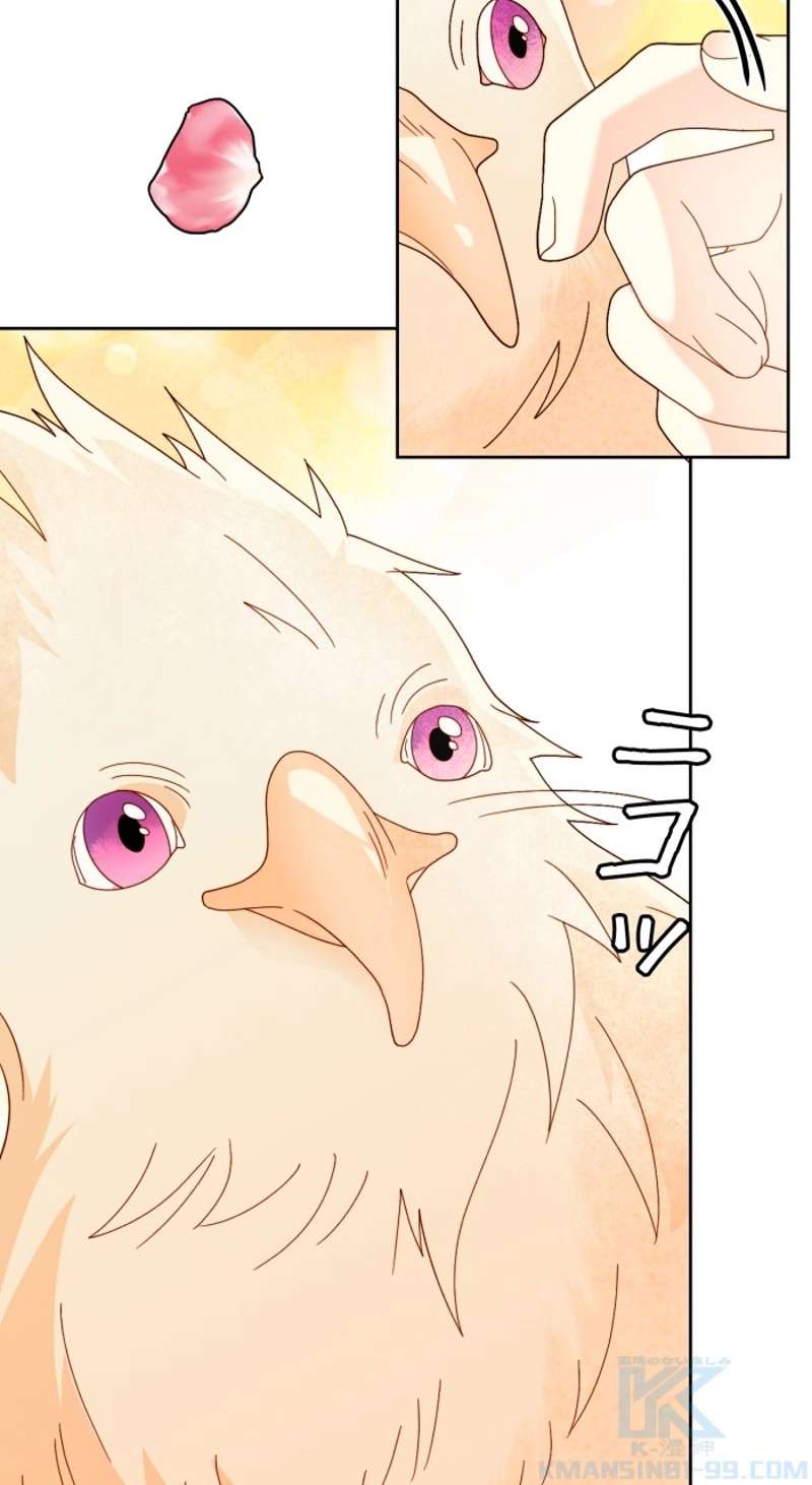 P65