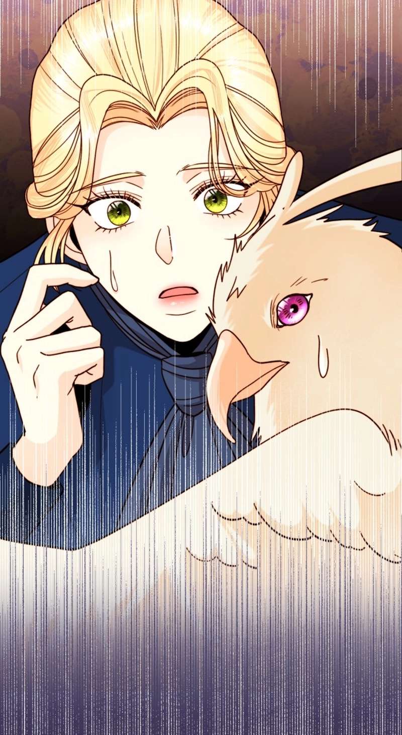 P73