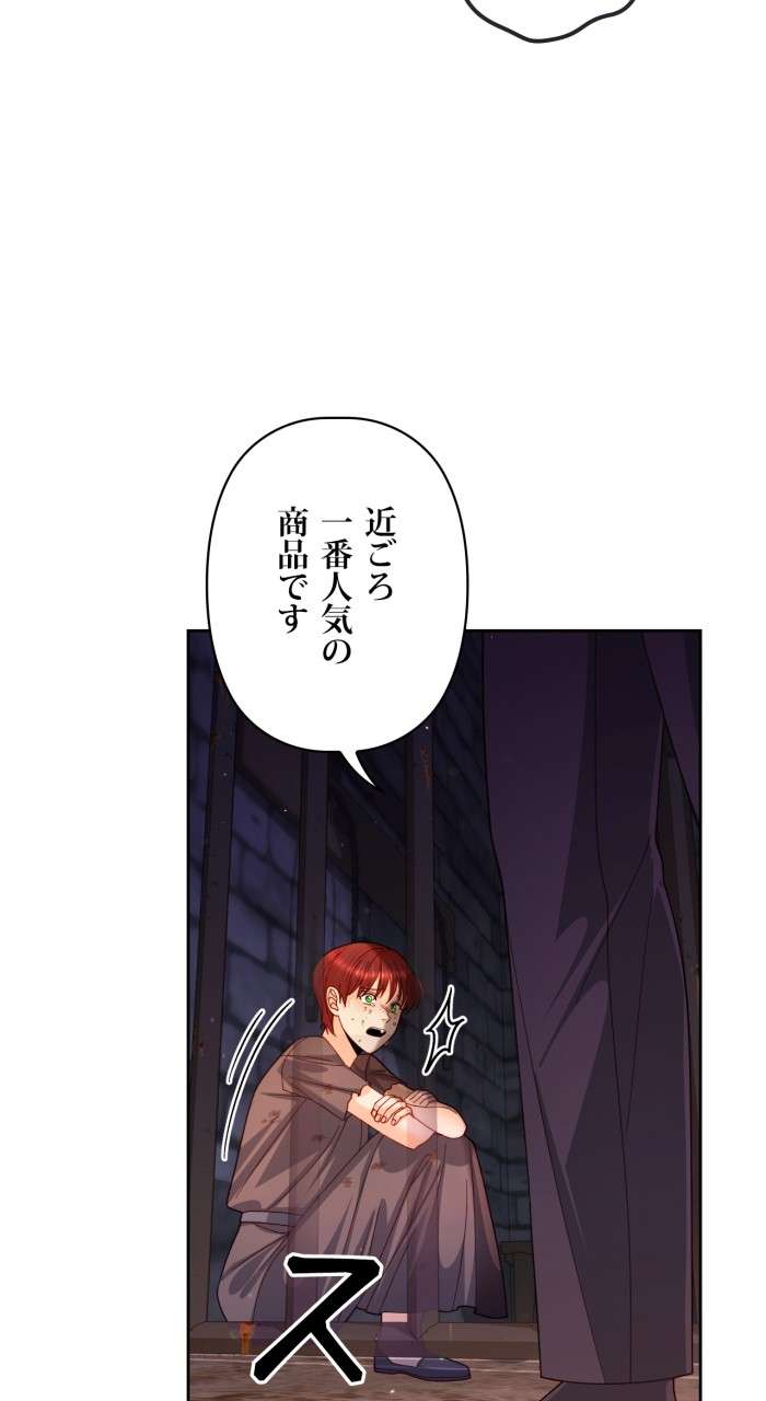 P53