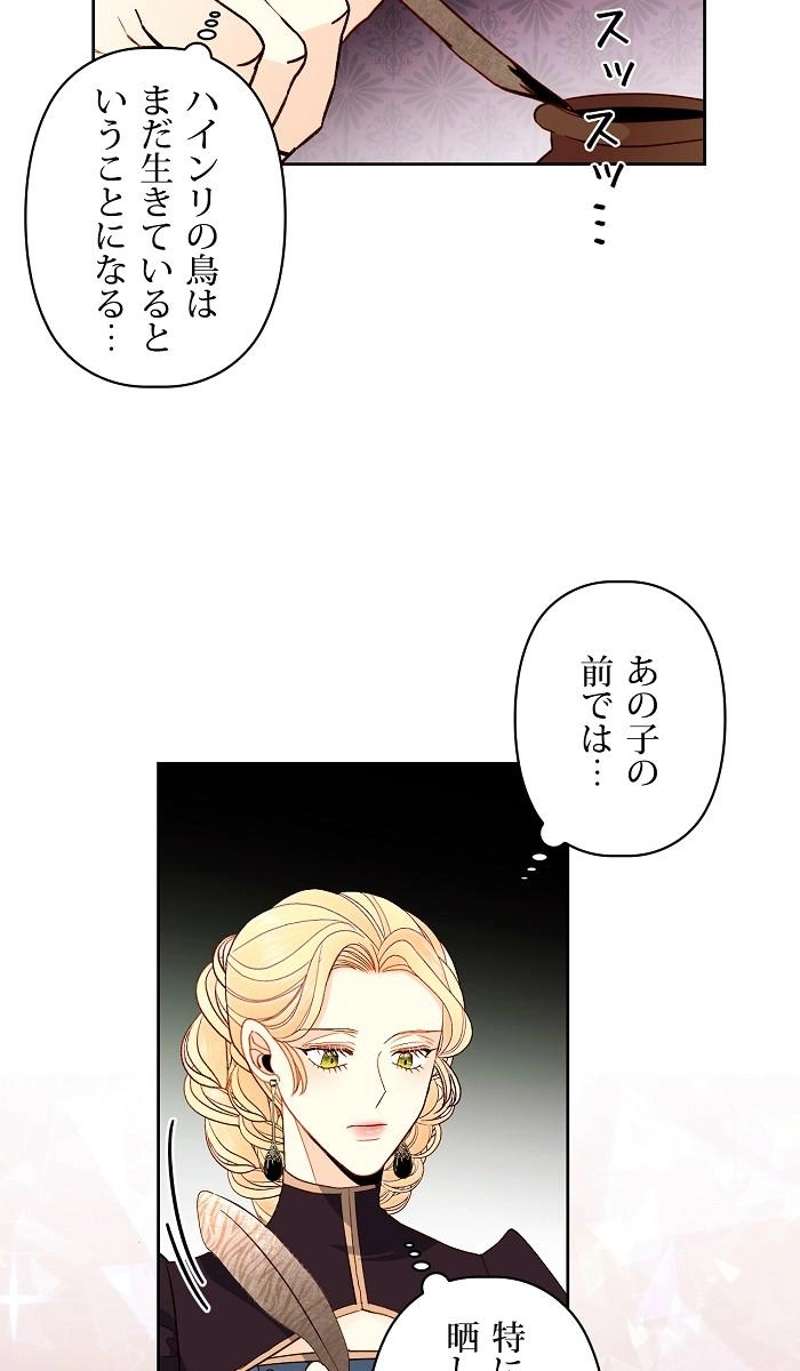 P63